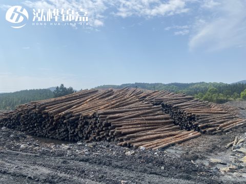 河道打樁為什么選擇松木樁來處理軟地基？-松木樁施工使用范圍